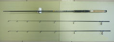 Fishing rod Catfishmaster Royal